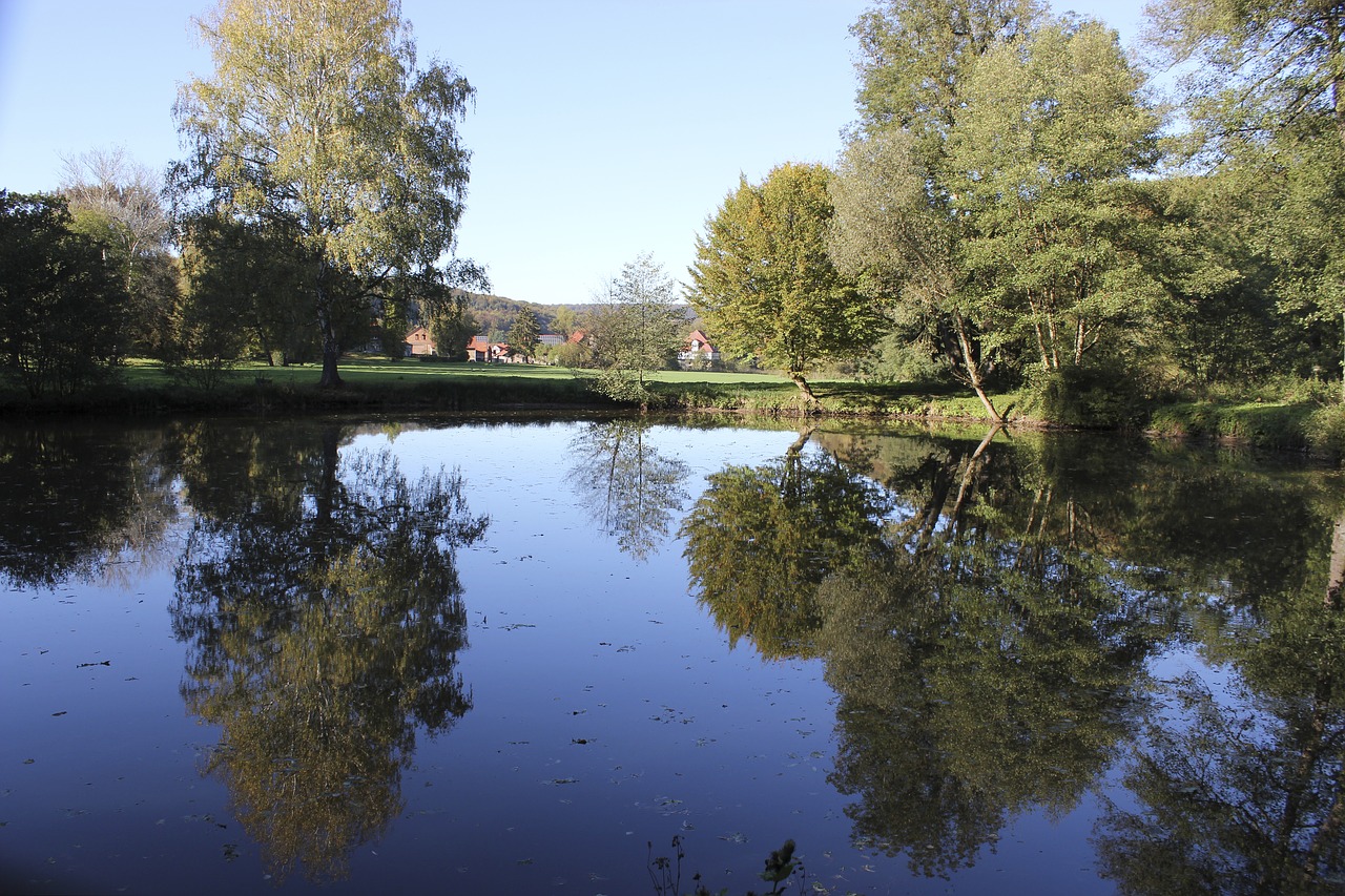 lake water reflections free photo