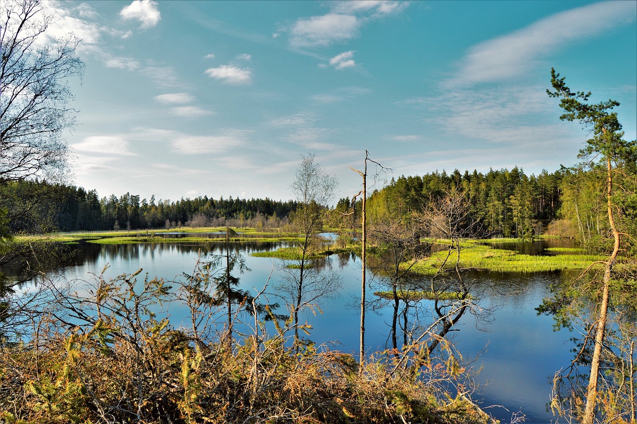 lake water mirroring free photo