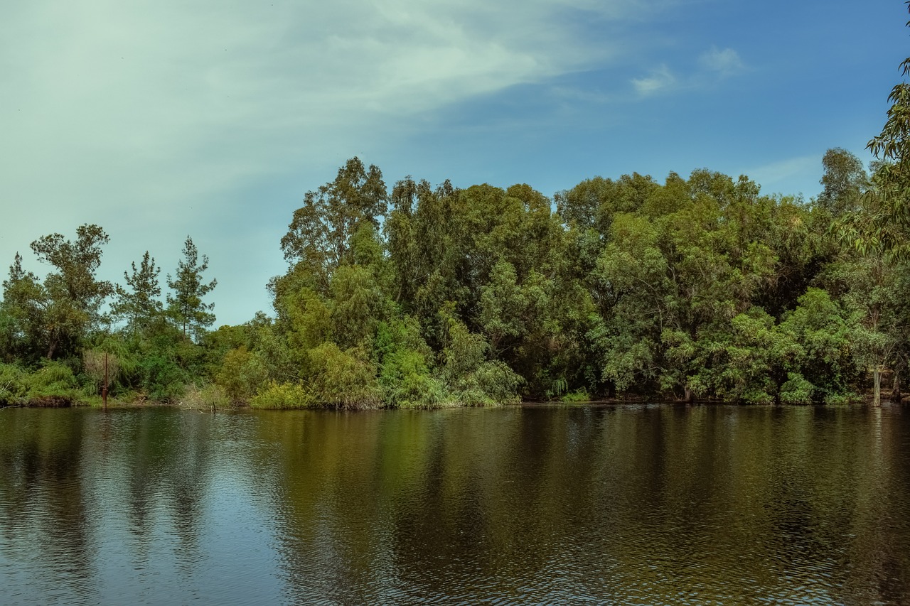 lake trees nature free photo