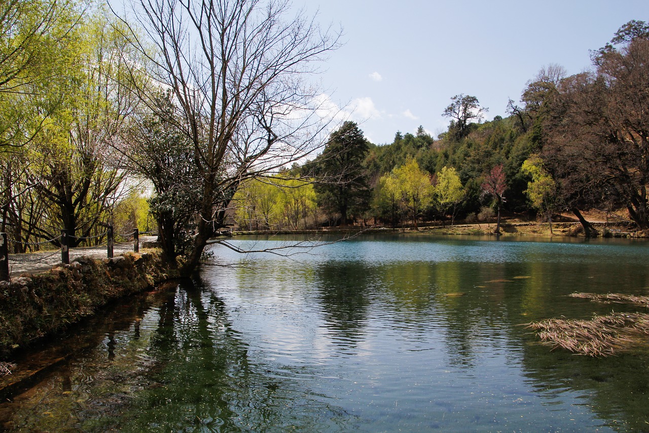 lake reflection the scenery free photo