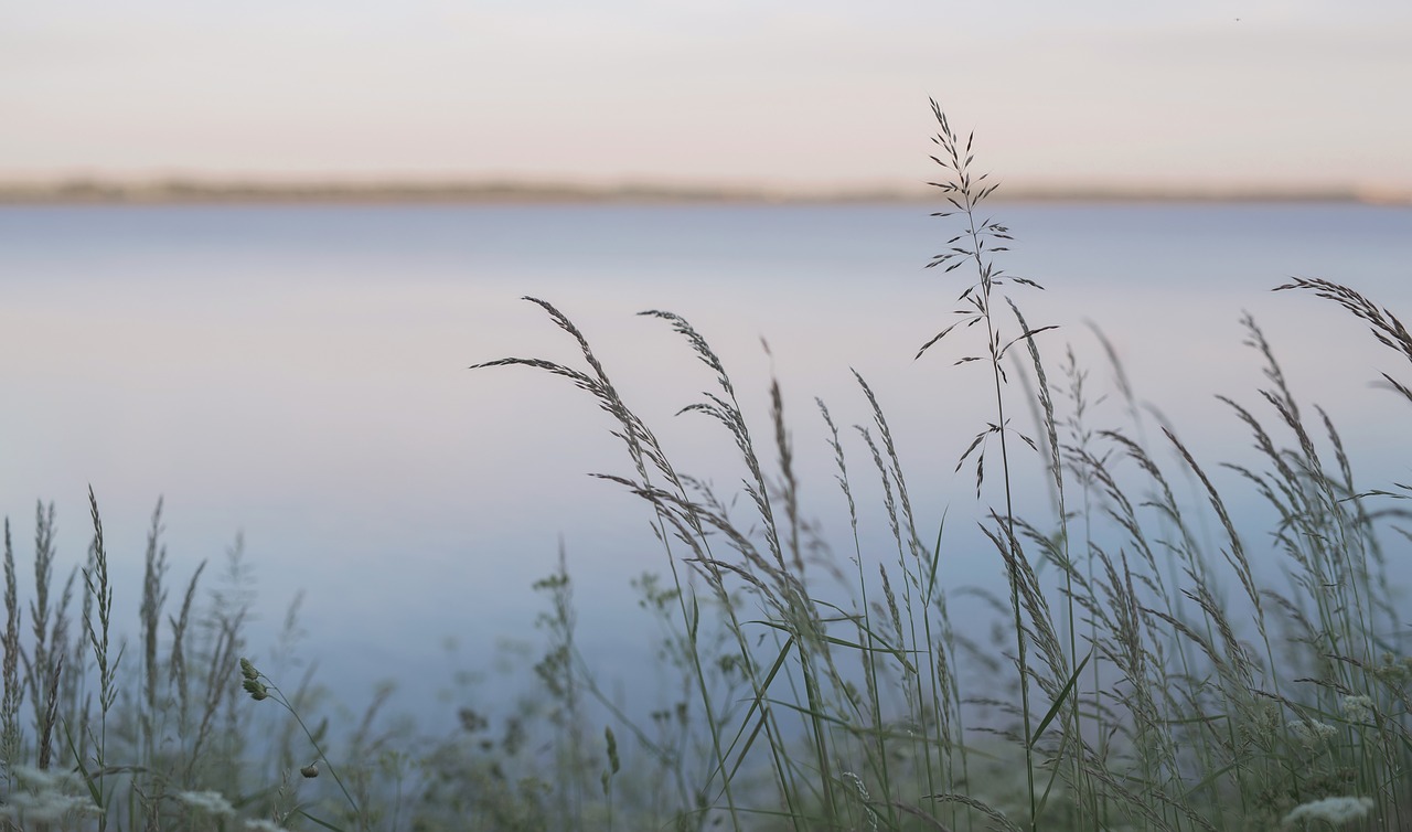 lake denmark sunset free photo