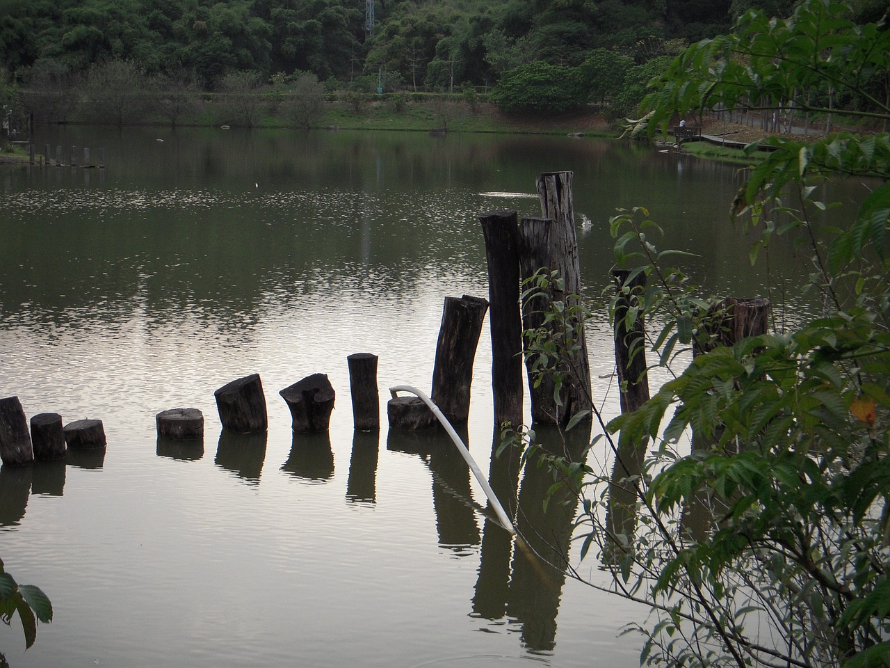 lake wood head bridge free photo