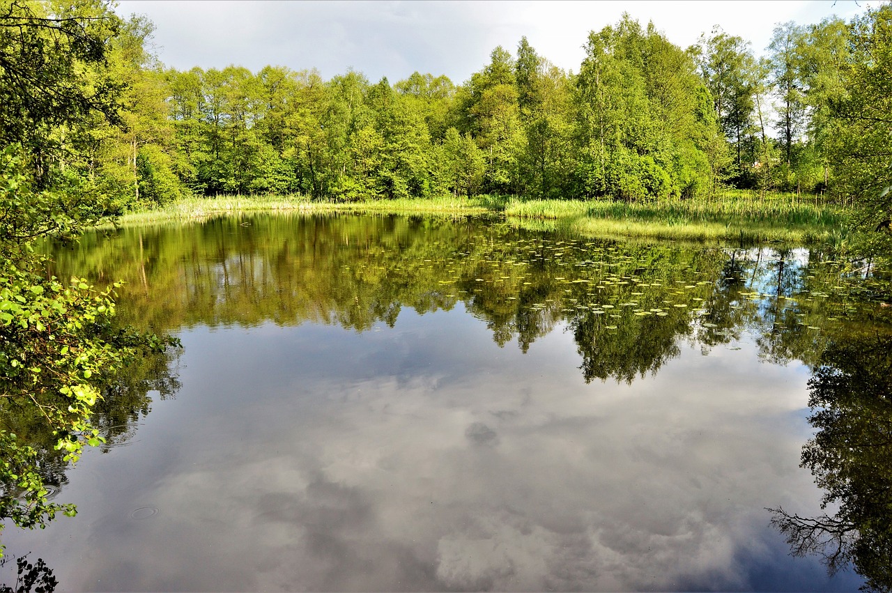 lake water sweden free photo