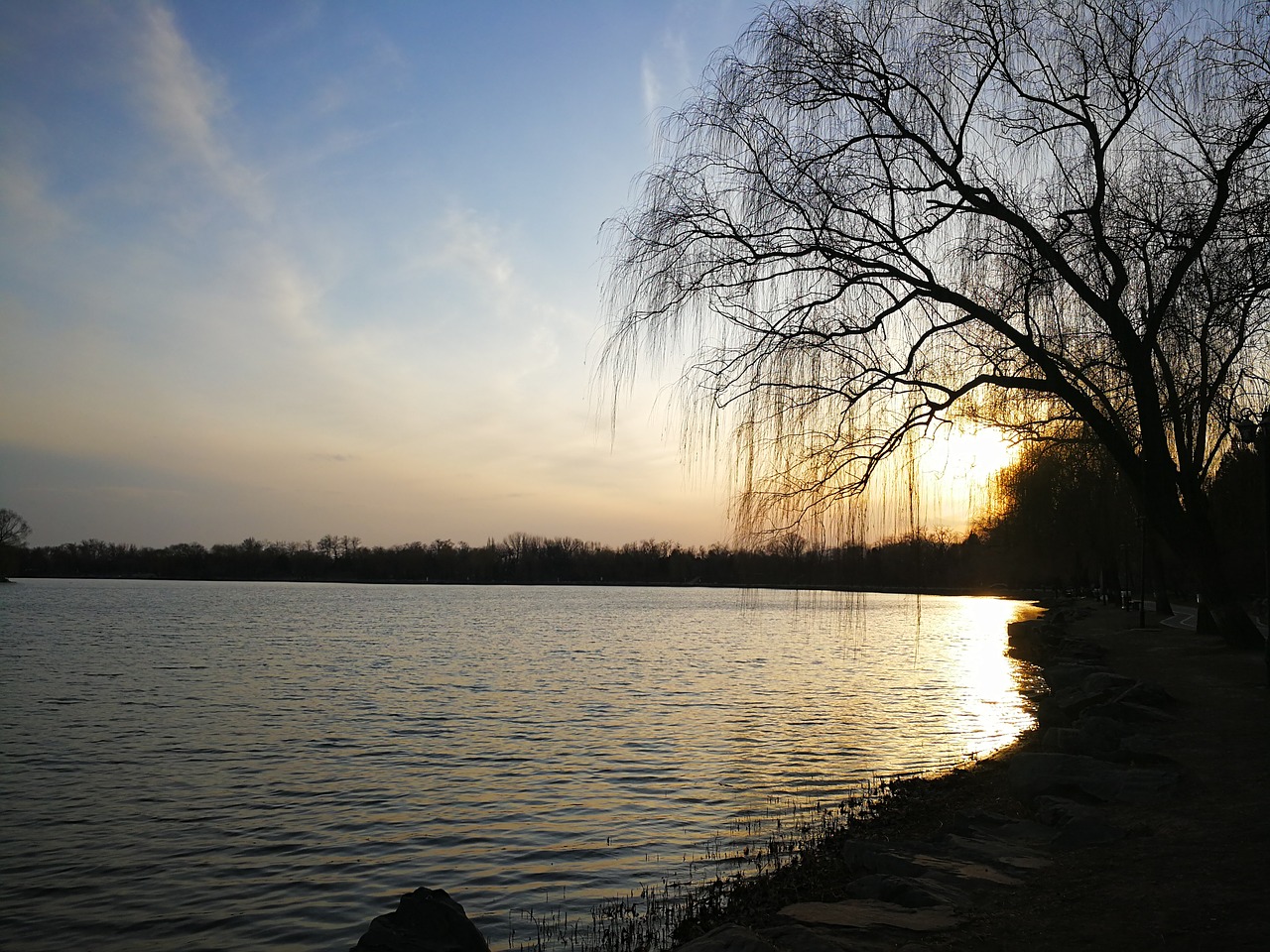 lake sunset willow free photo