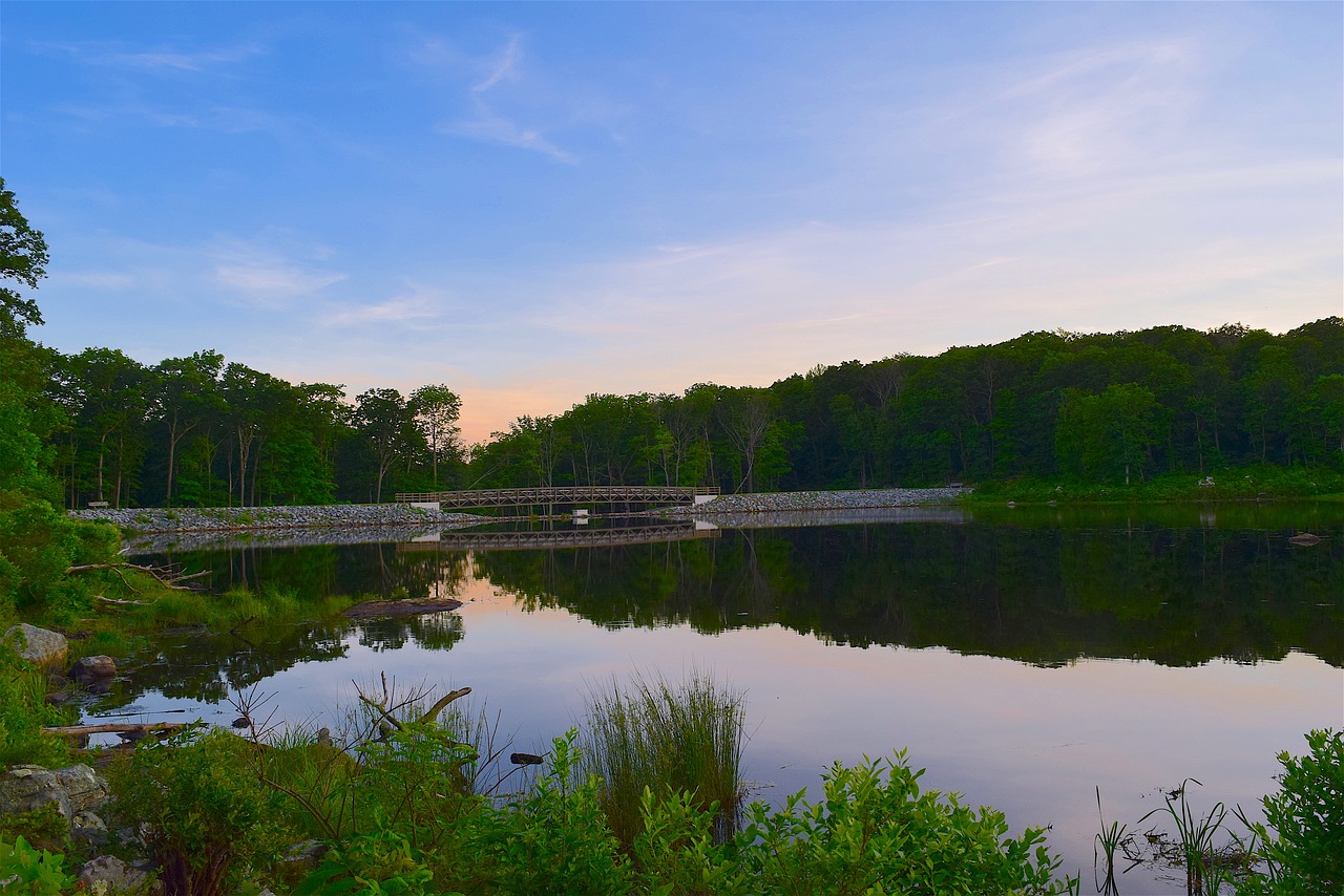 lake sunset water free photo