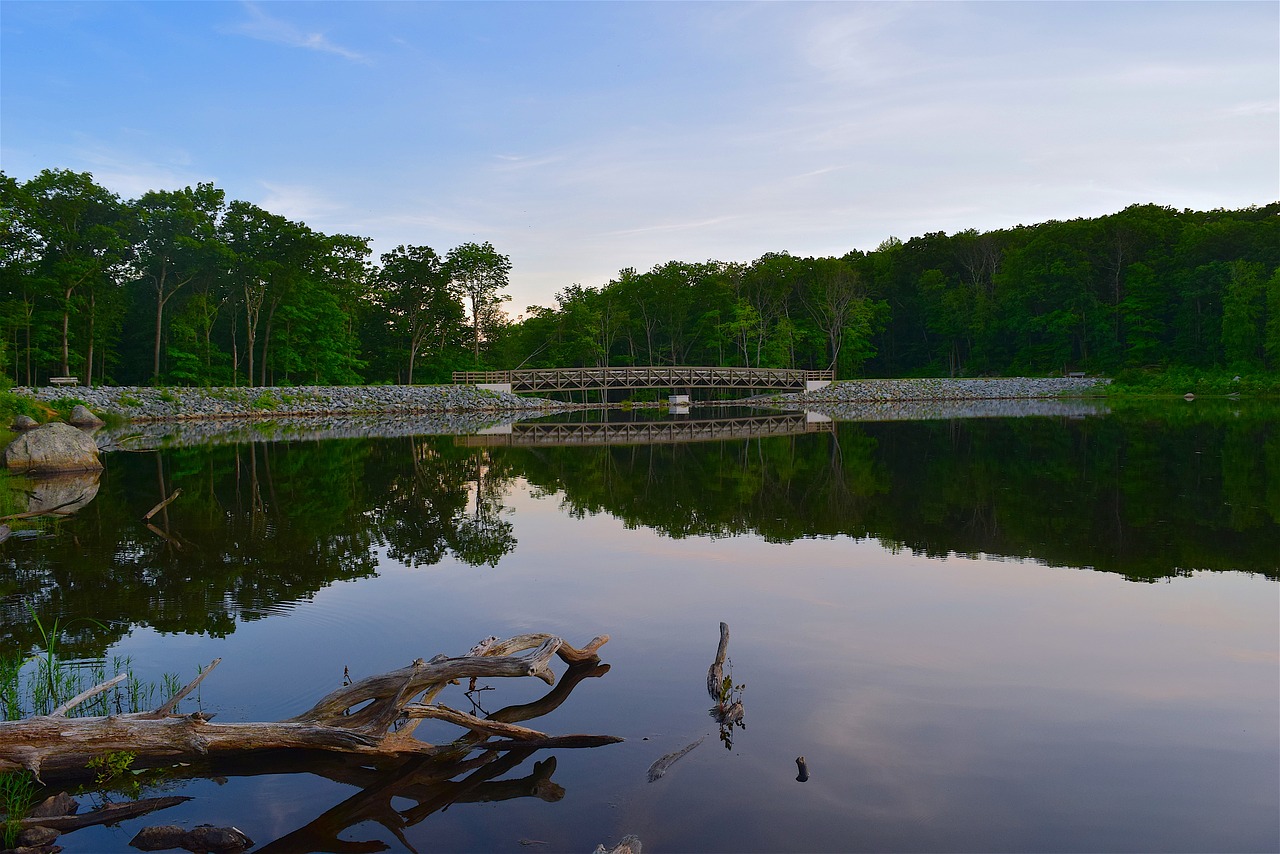 lake sunset water free photo