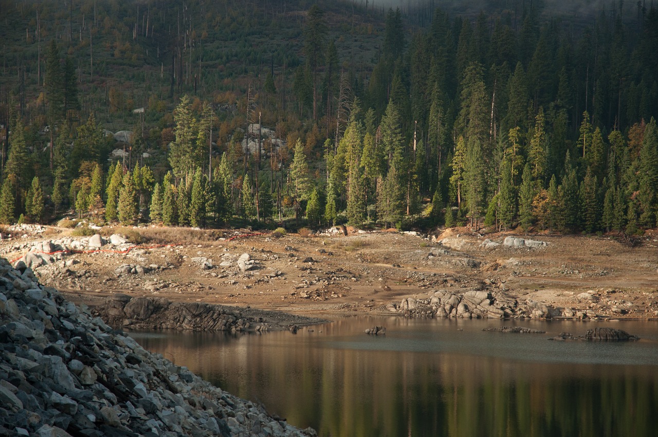 lake tree line landscape free photo