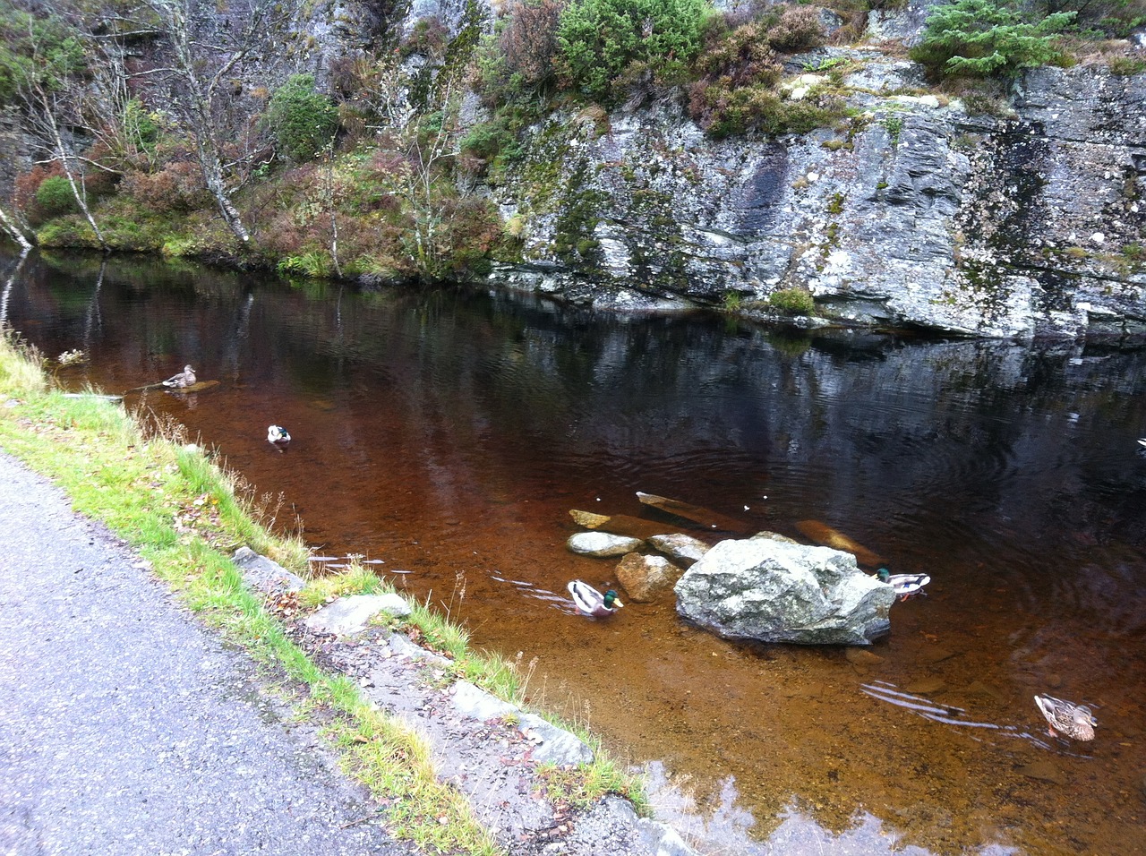 lake water river free photo