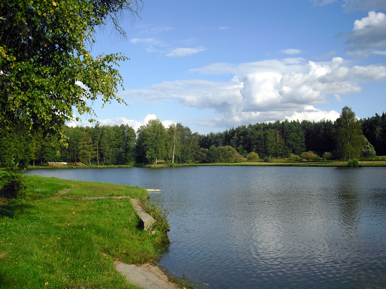 lake pond landscape free photo