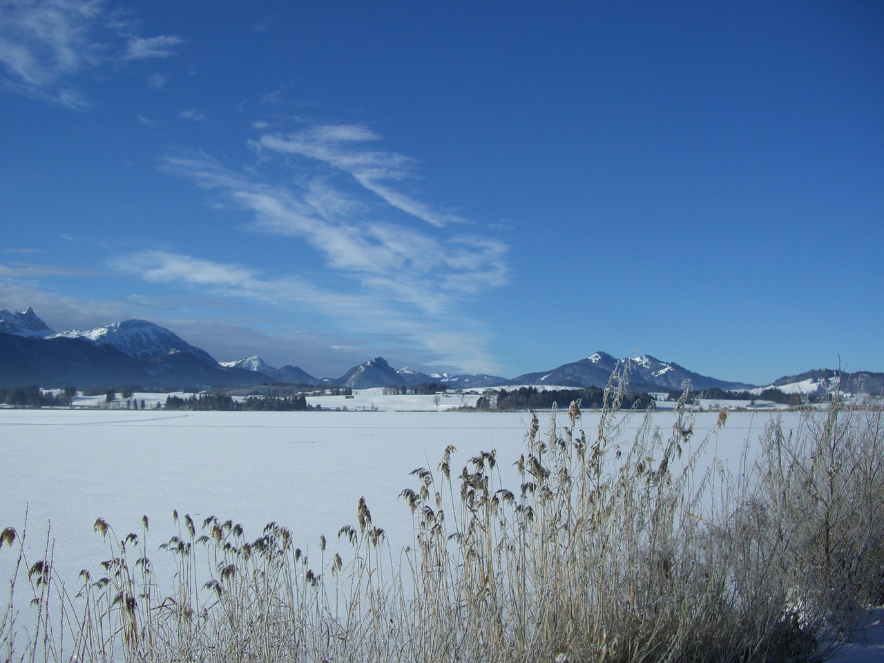 lake winter ice free photo