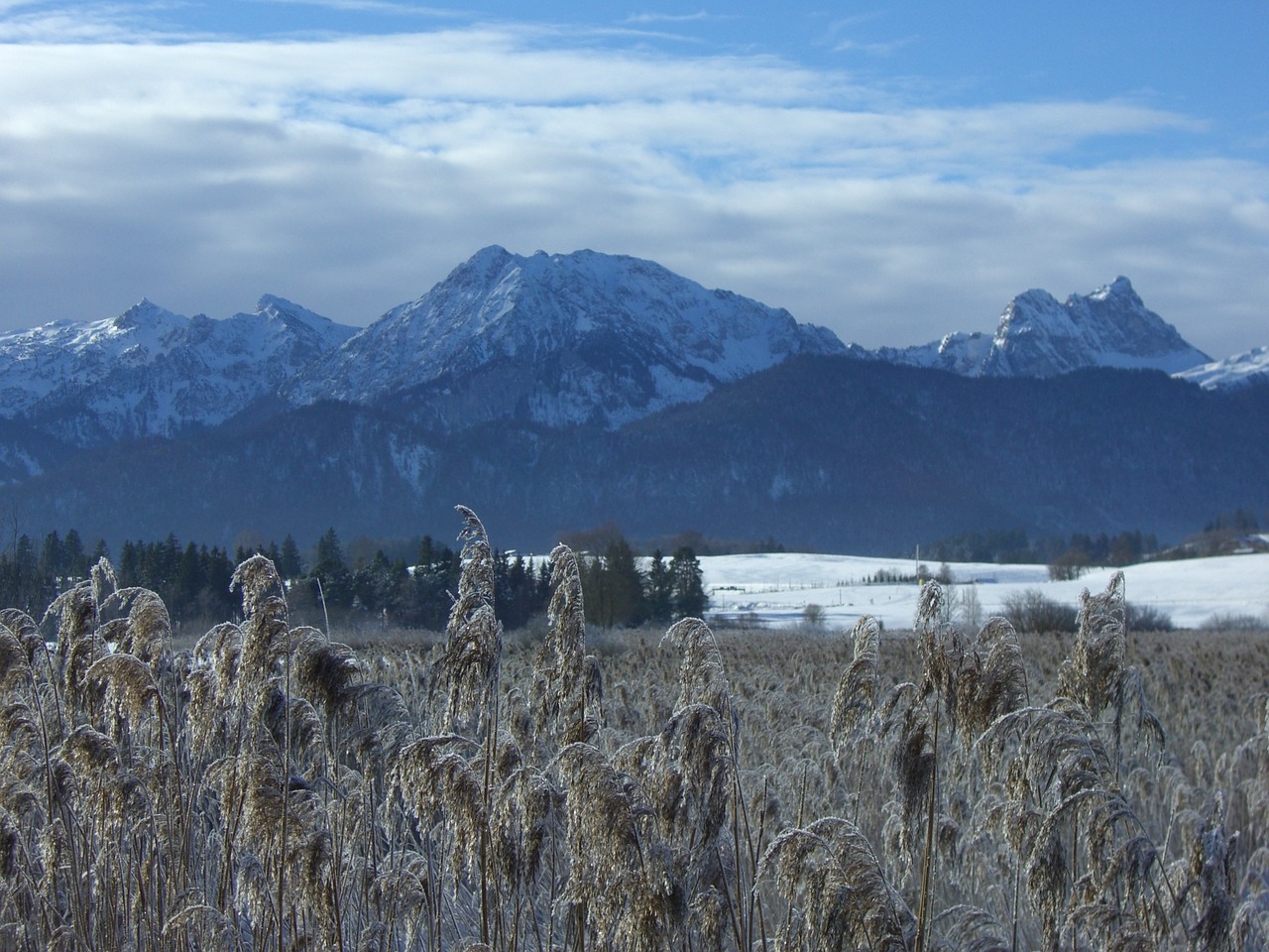 lake mountain panorama allgäu free photo