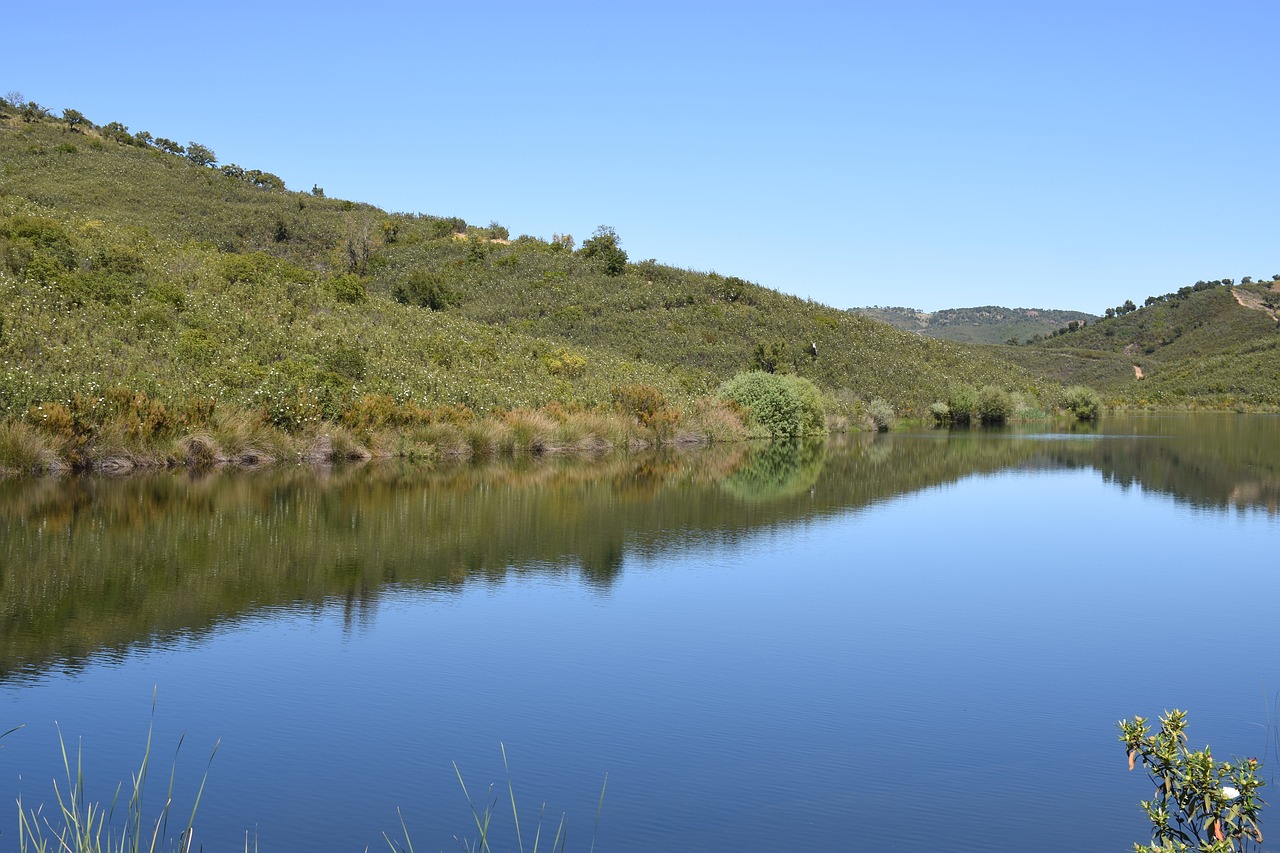 lake water landscape free photo