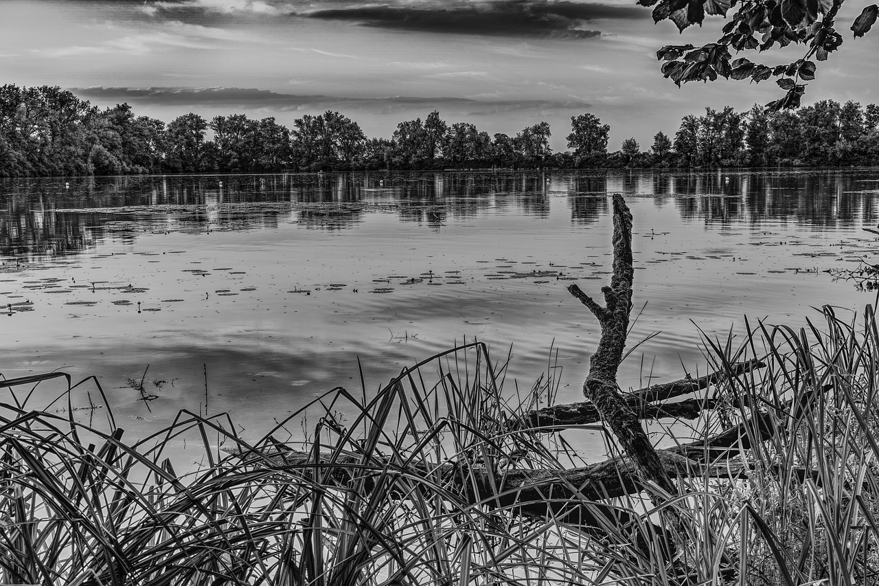 lake black white still life free photo