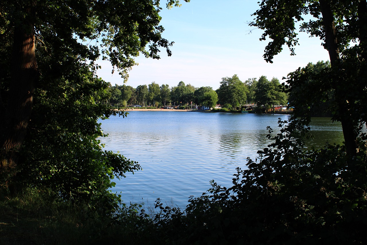 lake trees beach free photo