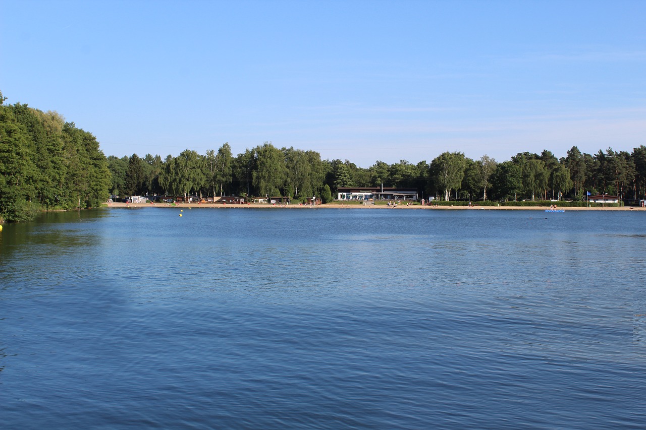 lake trees beach free photo