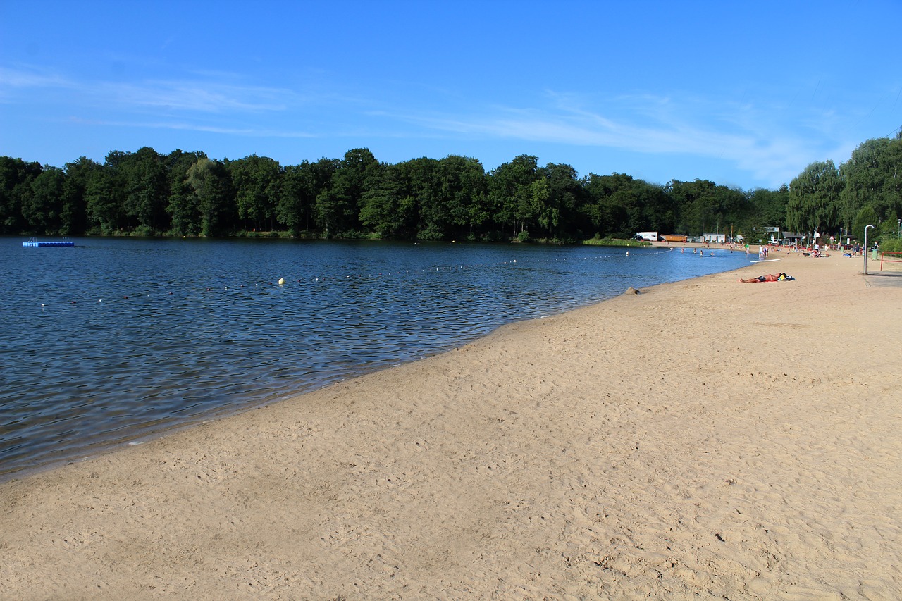 lake trees beach free photo