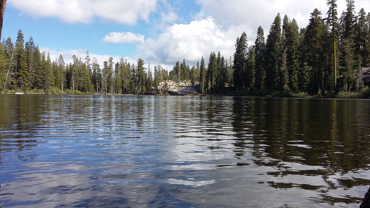 lake water trees free photo