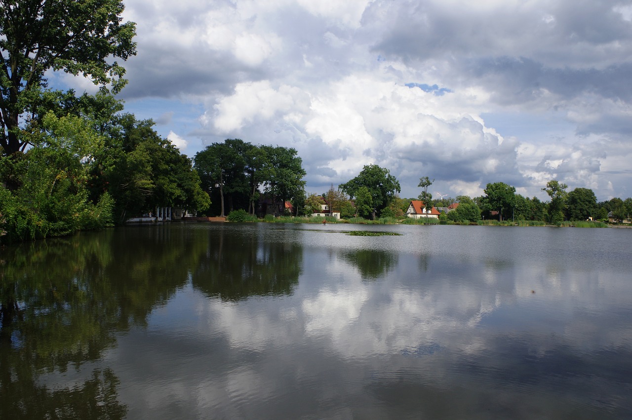 lake pond water free photo