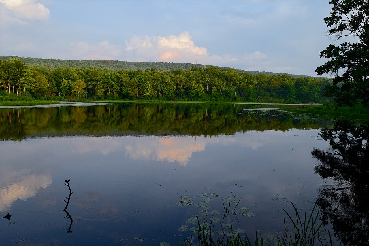 lake sunset reflection free photo