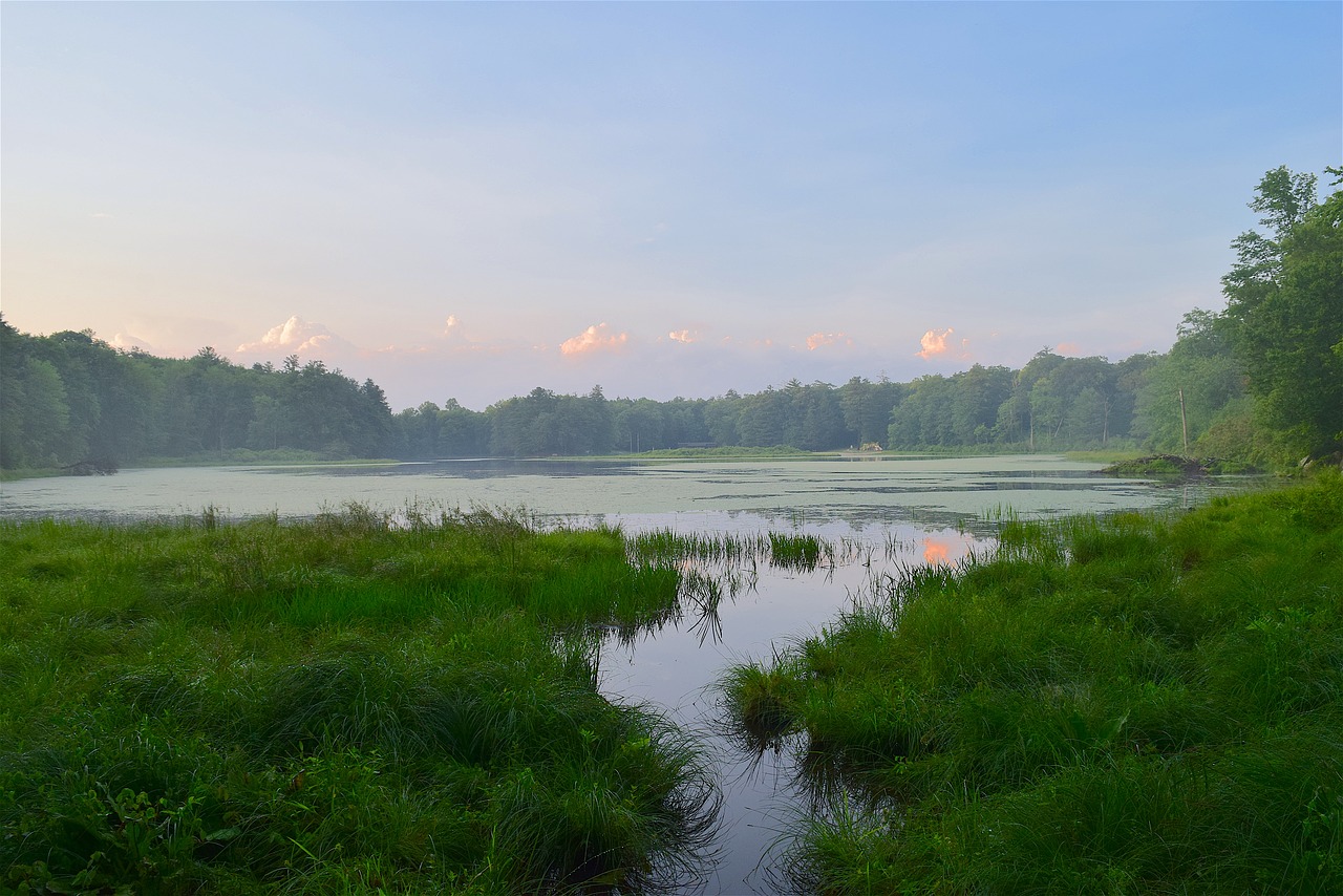 lake evening nature free photo