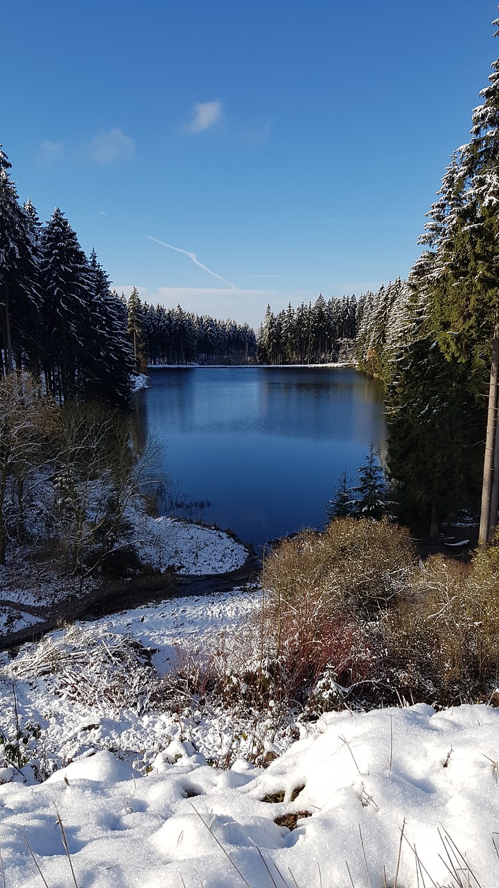 lake nature resin free photo