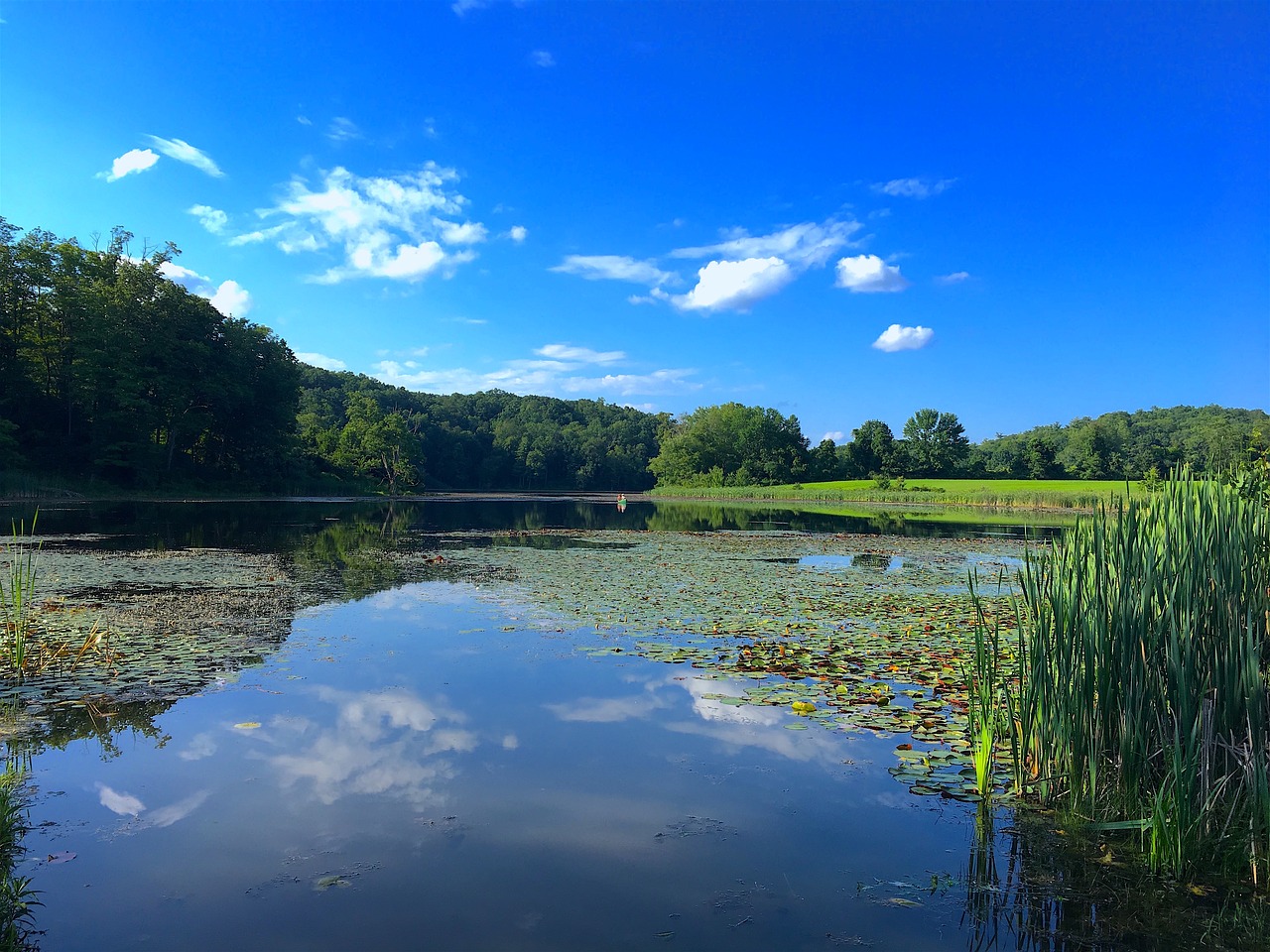 lake summer sunshine free photo