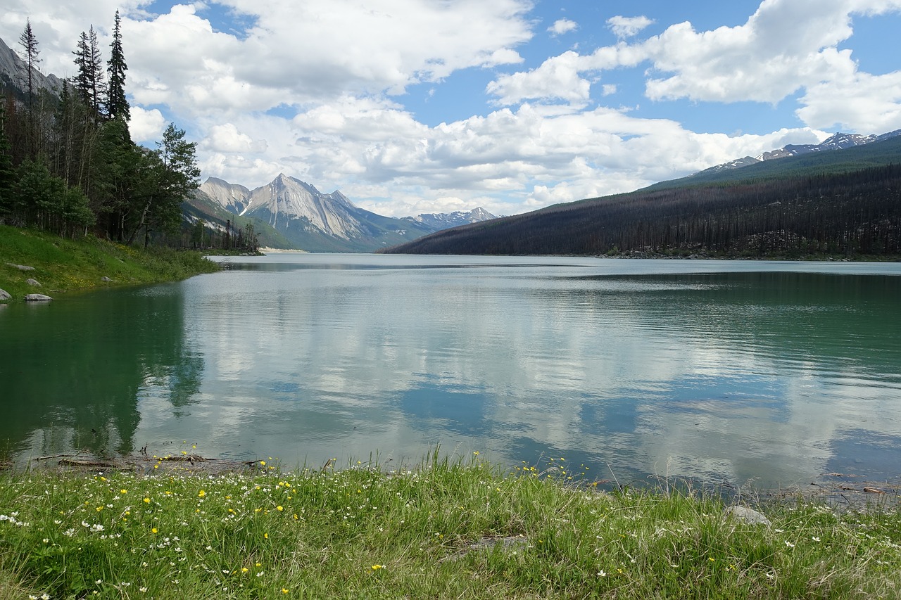 lake jasper medicine free photo