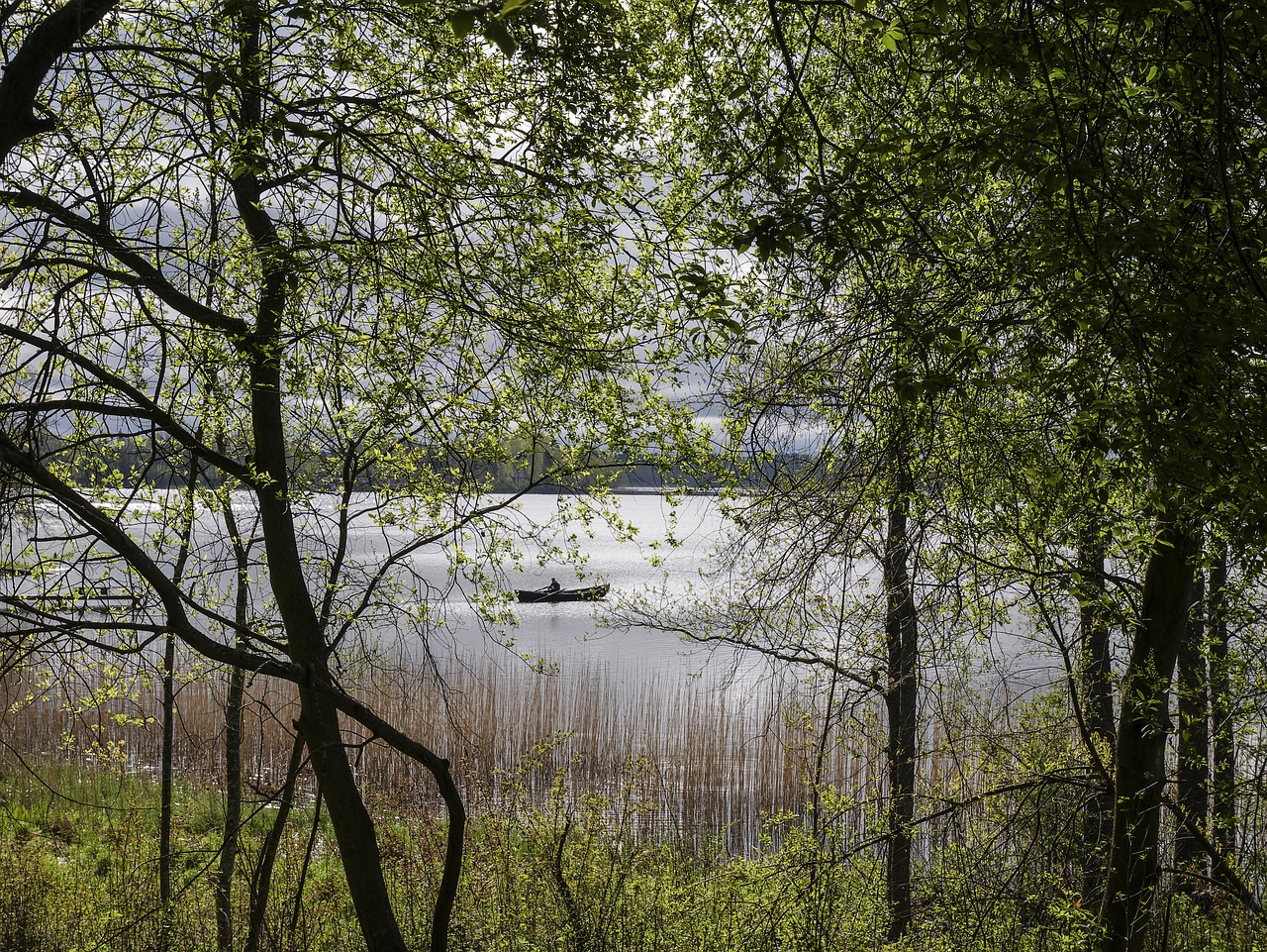 lake the boatman landscape free photo