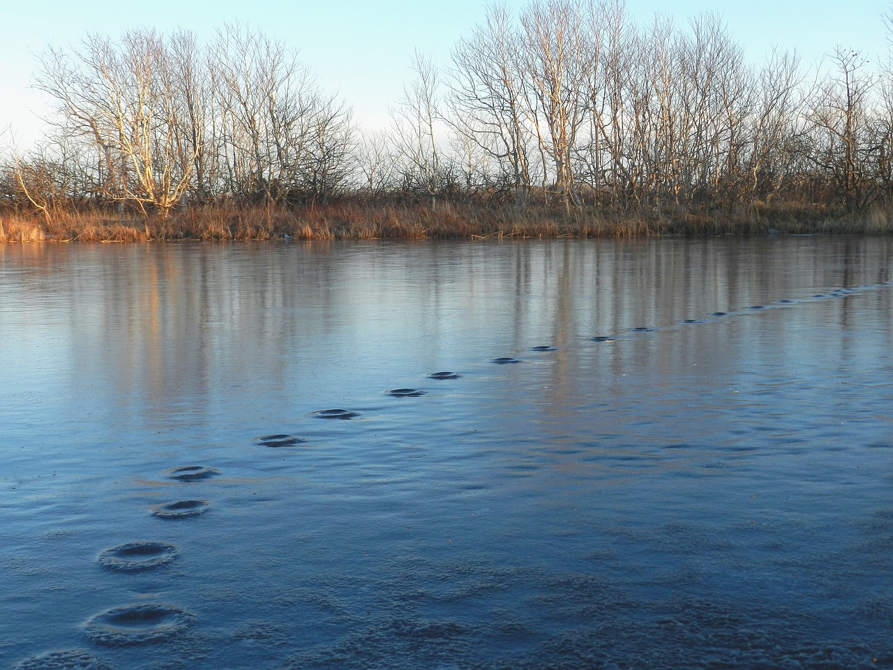 lake tracks freezing free photo