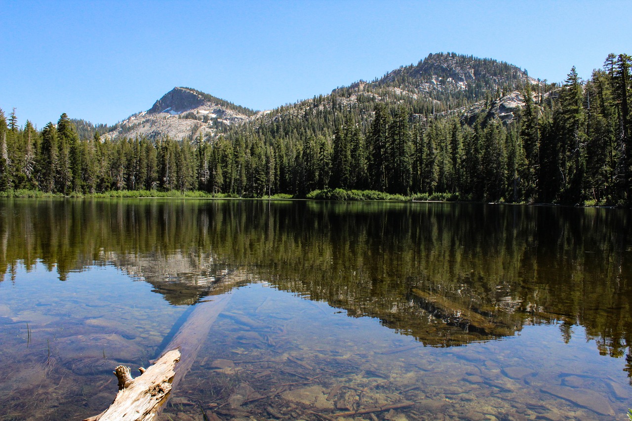 lake reflection nature free photo