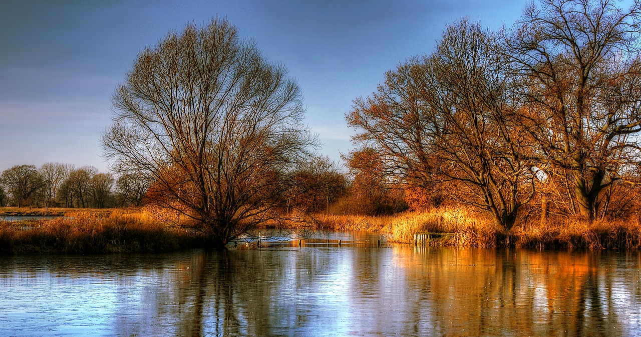 lake pond water free photo