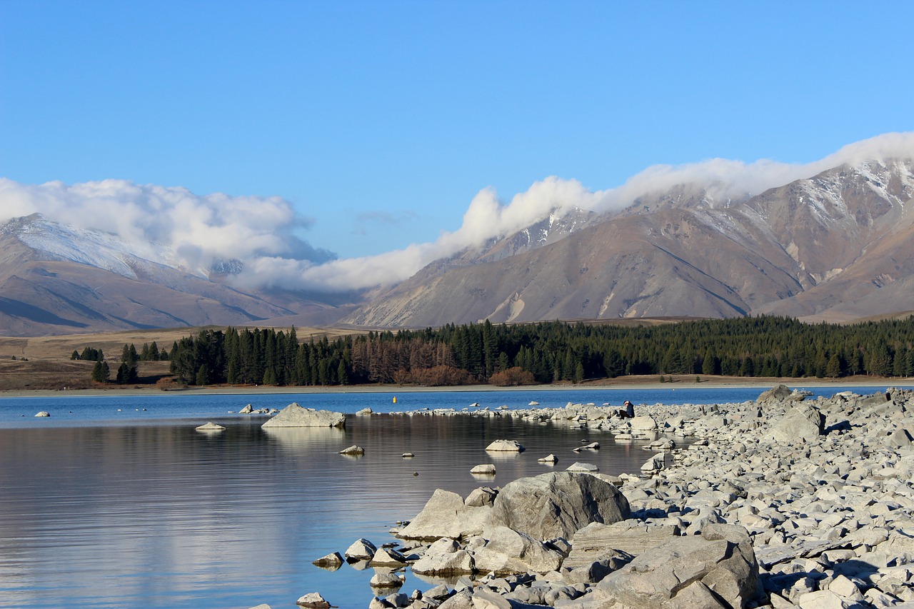 lake water bank free photo