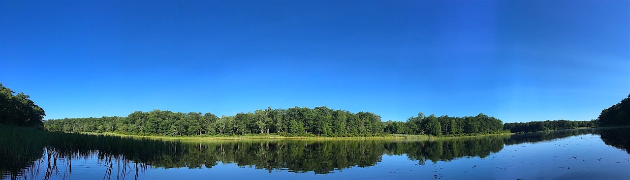 lake morning reflection free photo