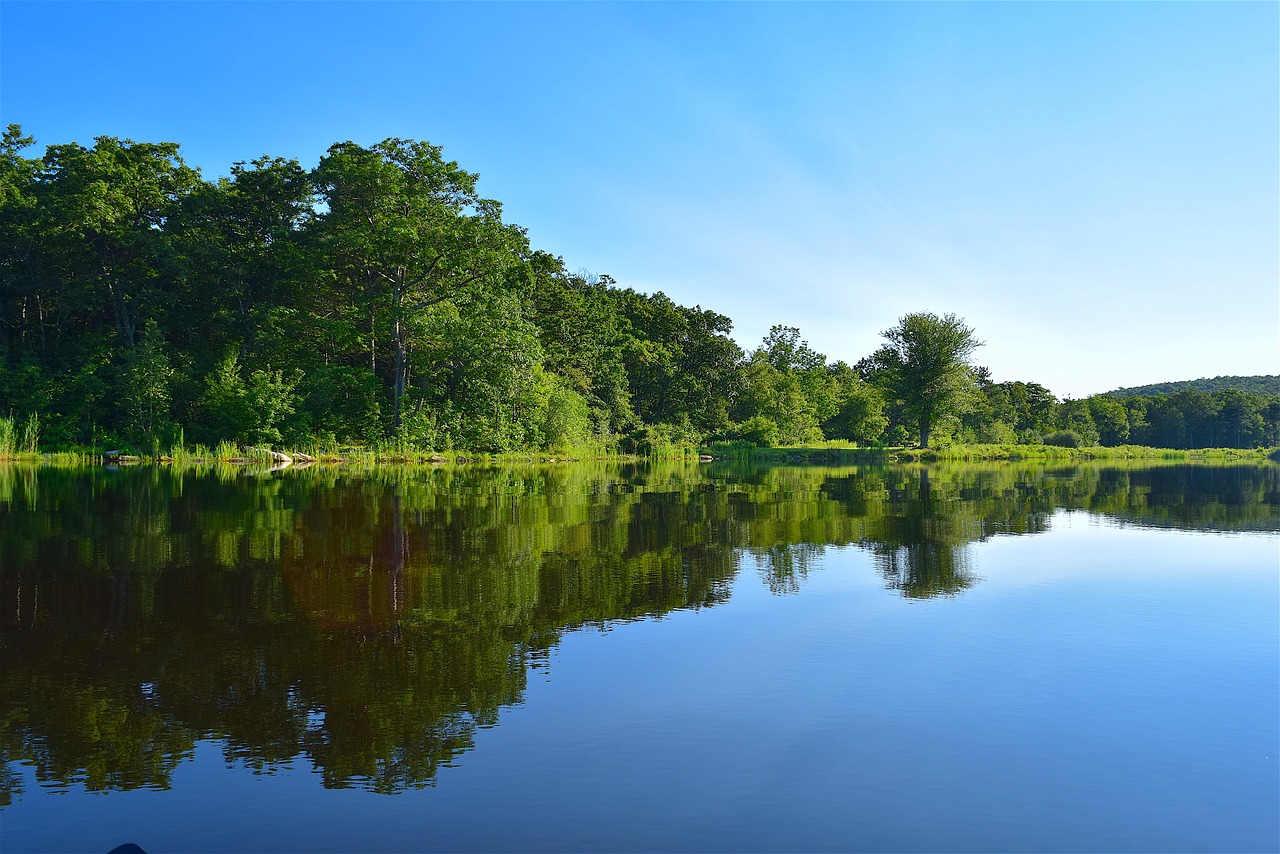 lake trees water free photo