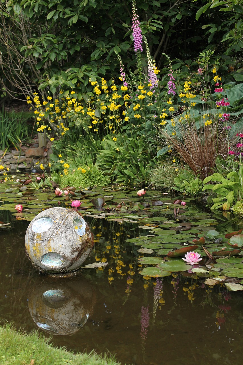 lake pond garden free photo