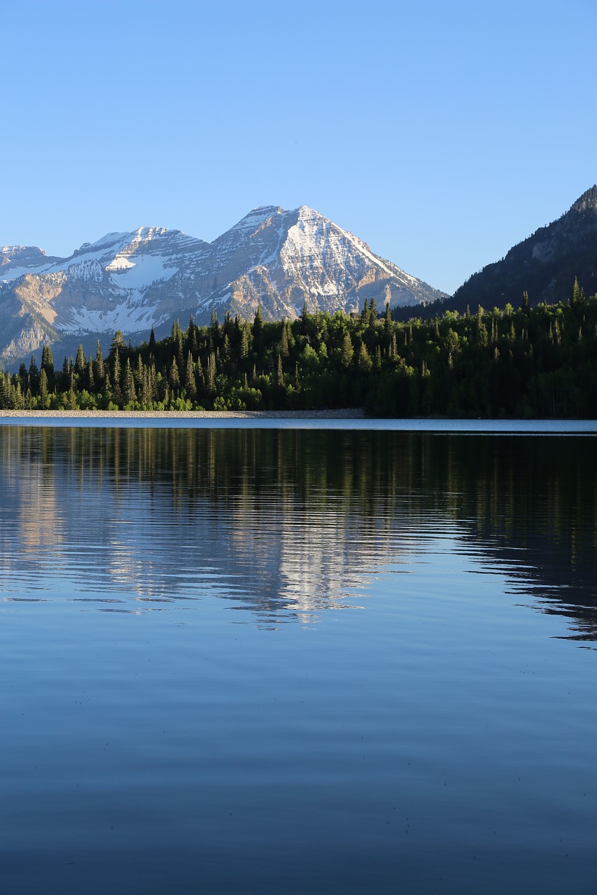 lake water reflection free photo