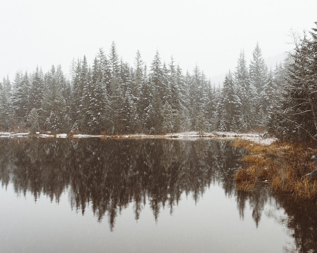 lake water reflection free photo