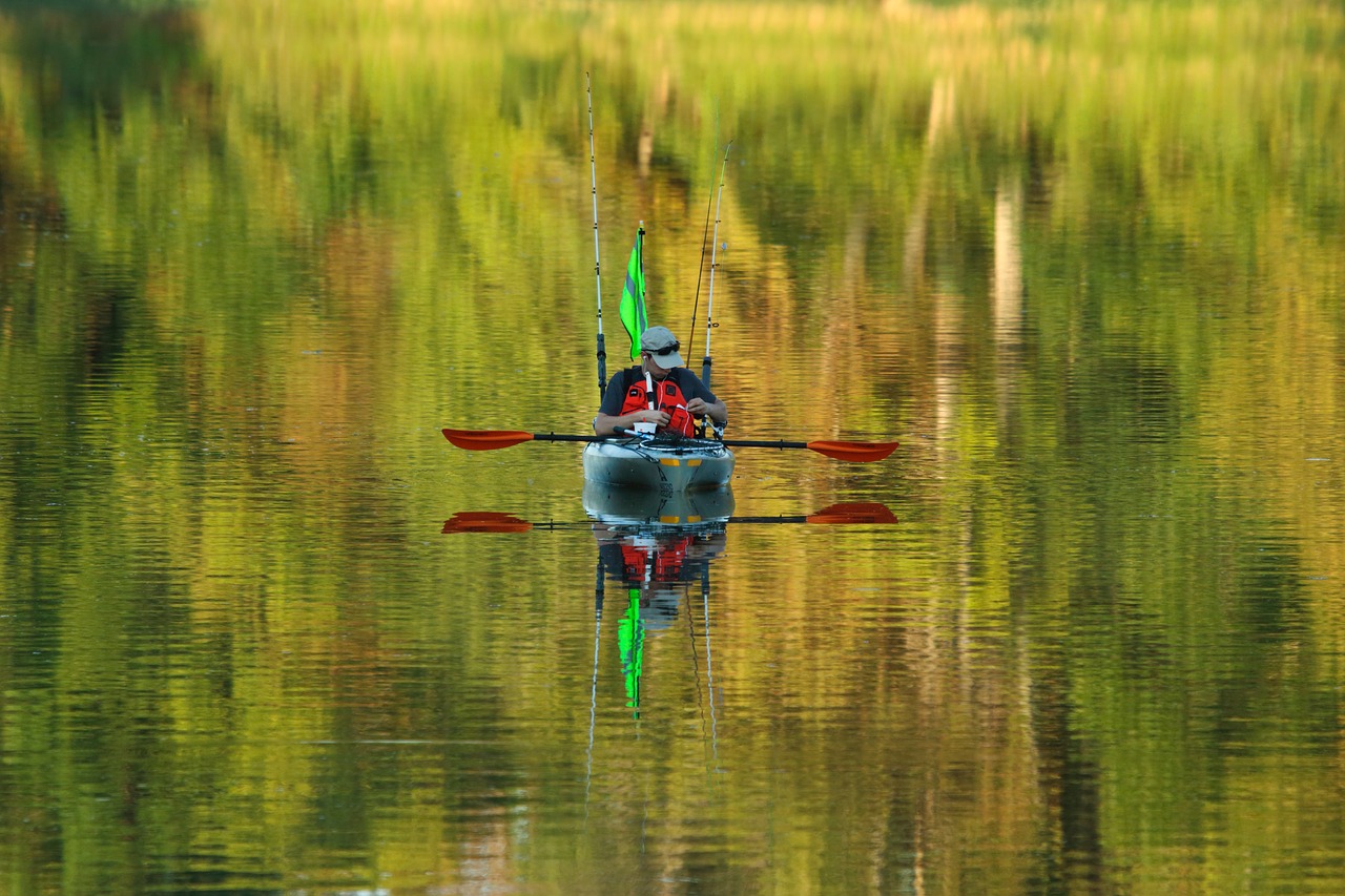 lake water paddle free photo