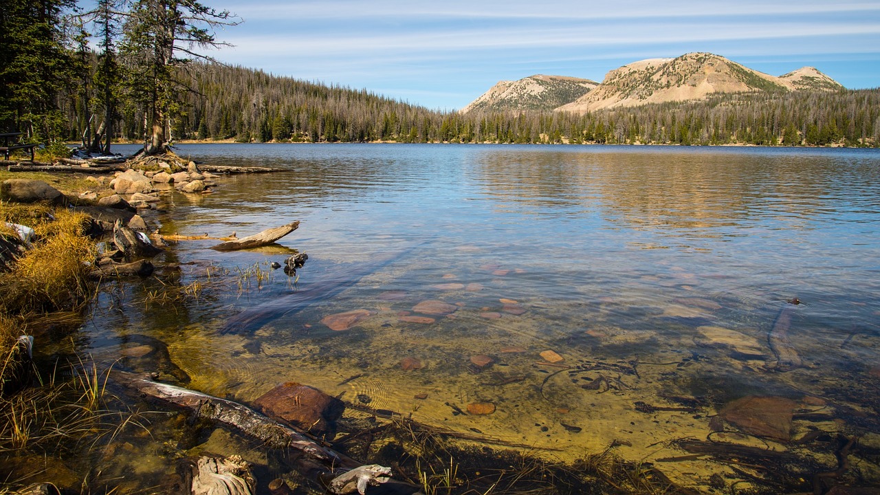 lake water river free photo