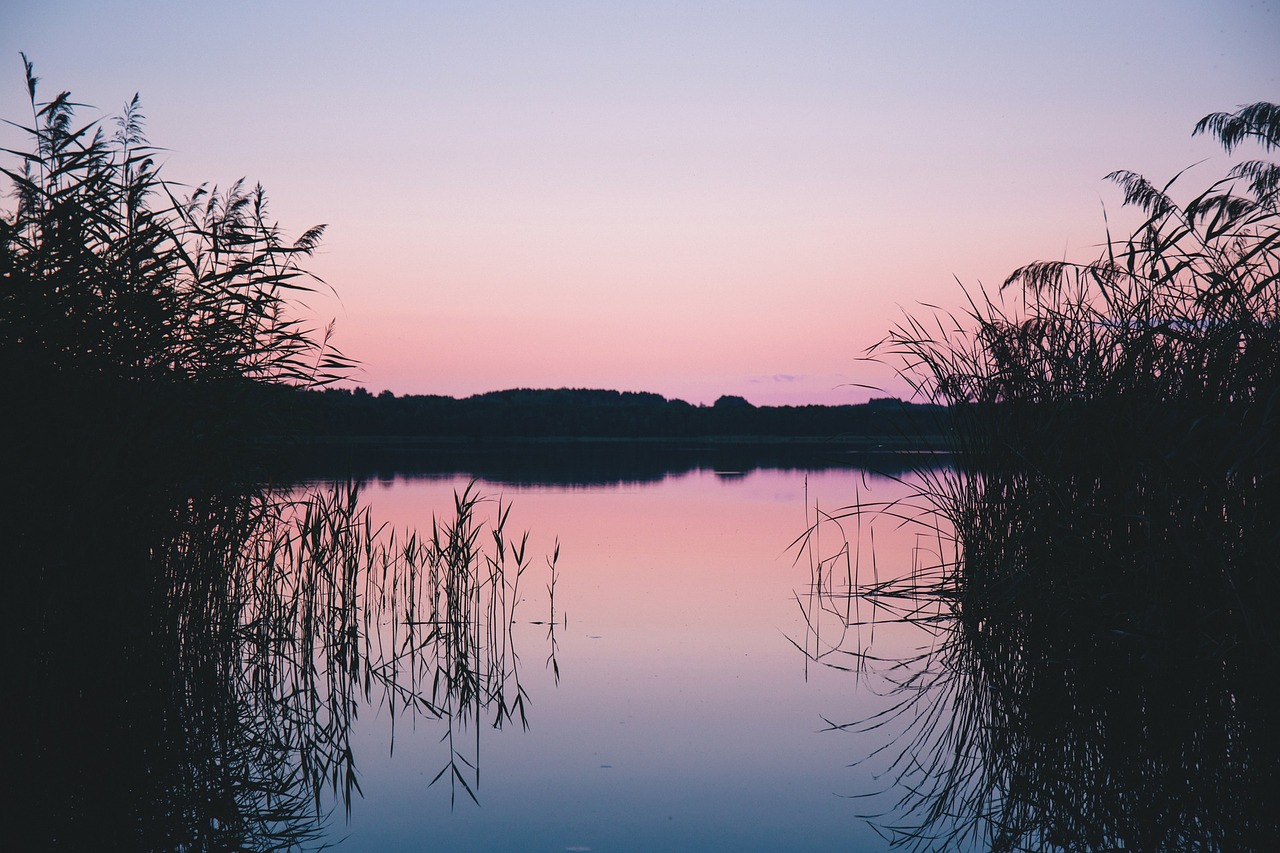 lake water reflection free photo