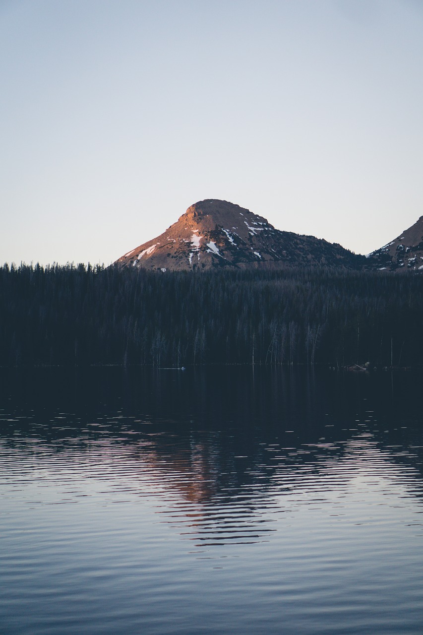 lake water trees free photo