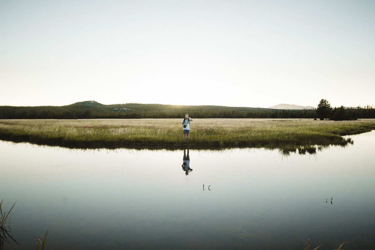 lake water green free photo