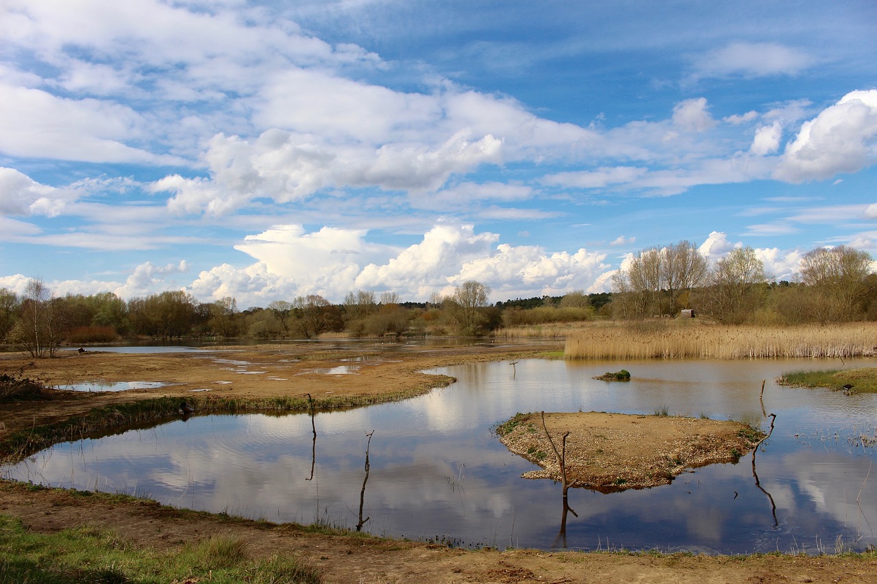 lake water reflection free photo