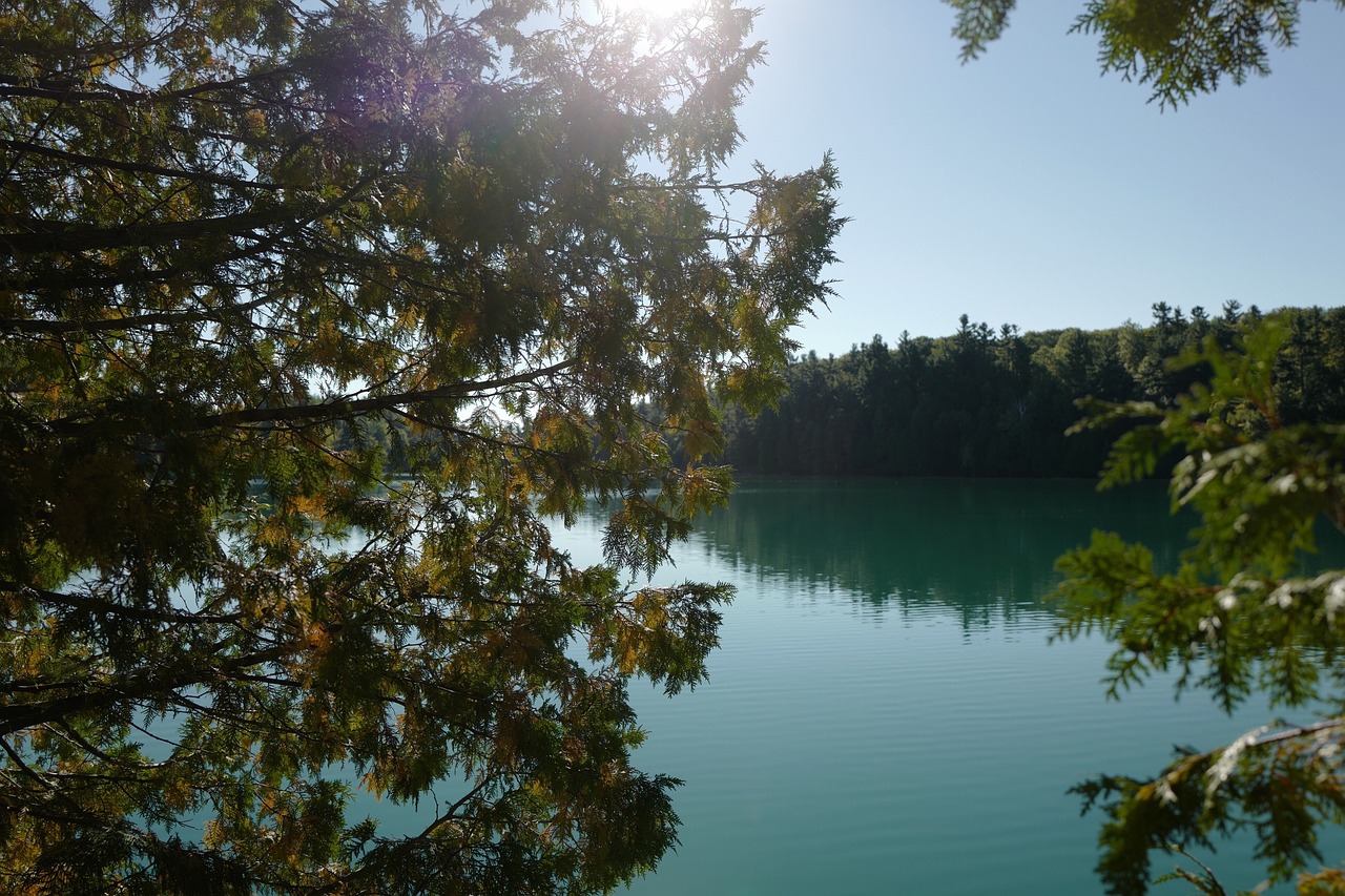 lake water trees free photo