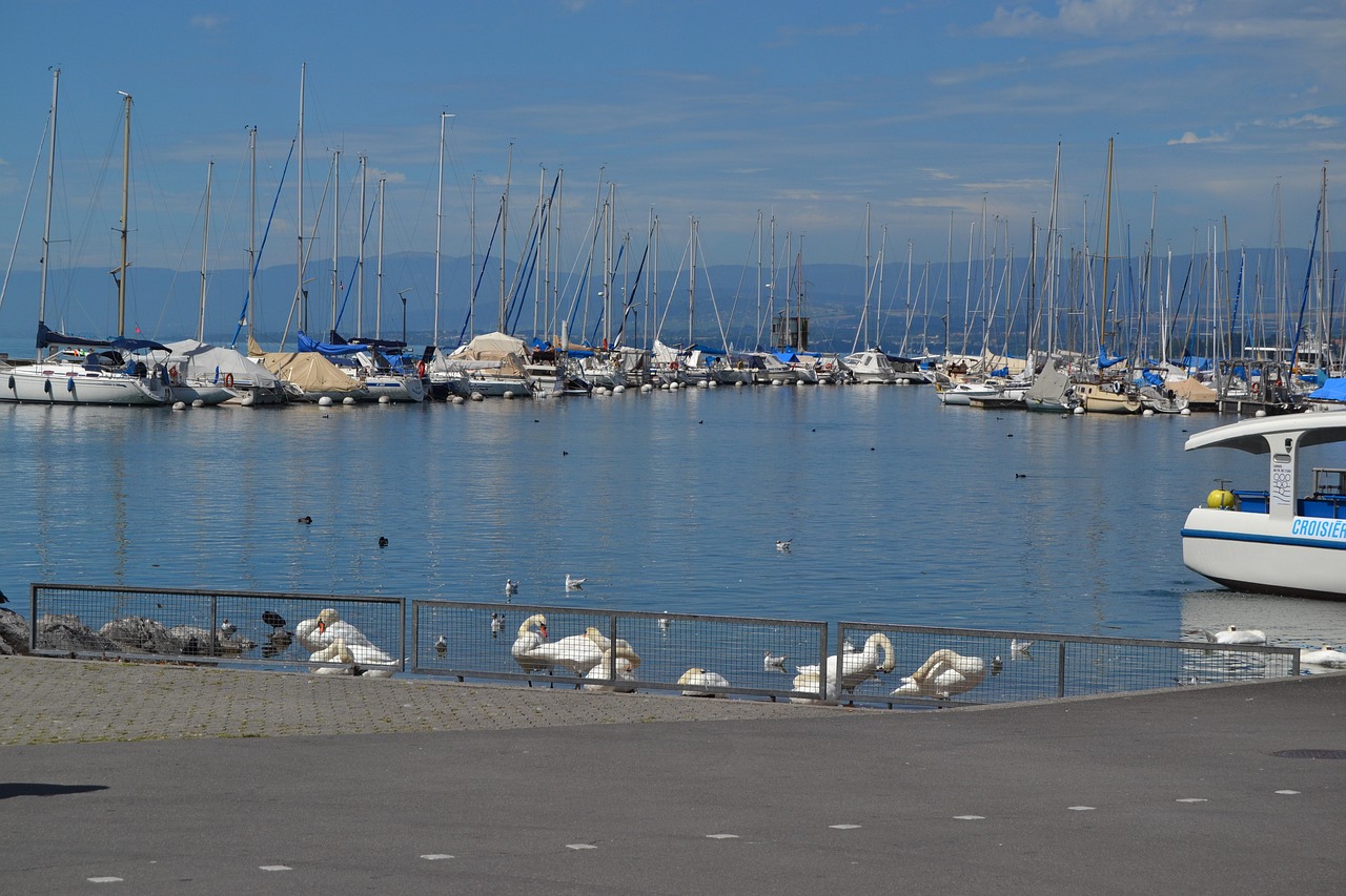 lake leman switzerland free photo