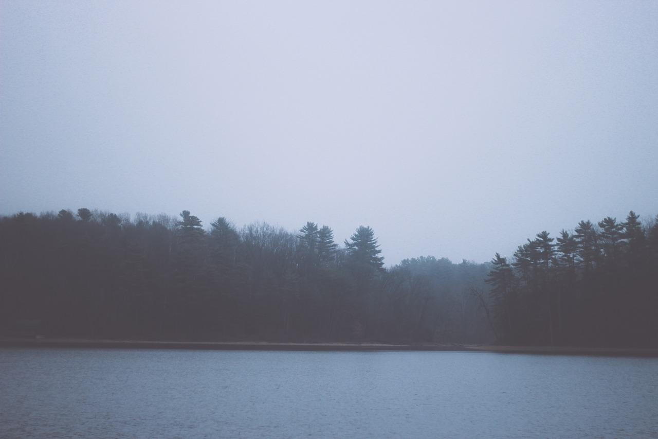 lake water trees free photo