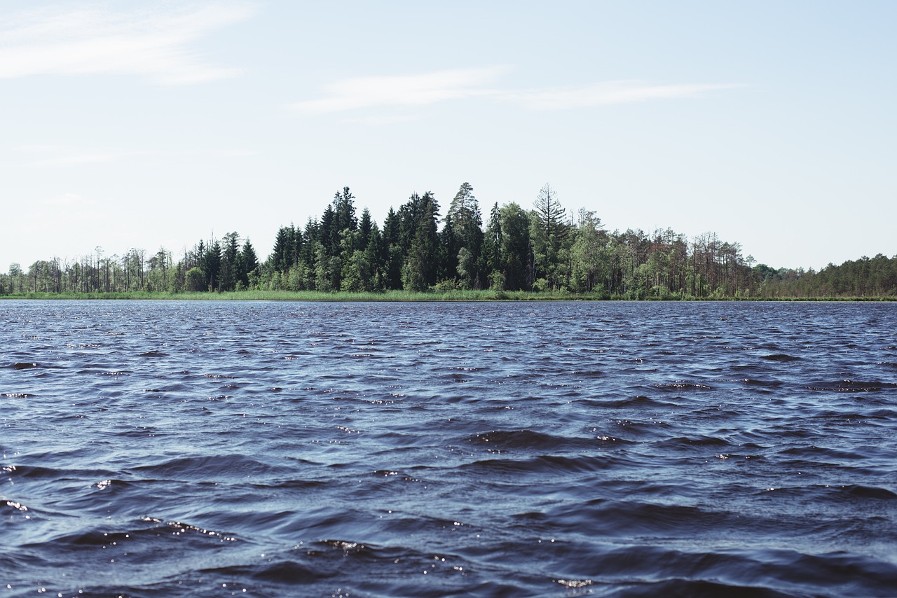 lake water trees free photo