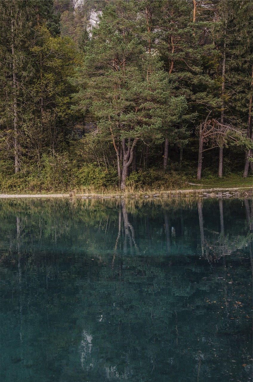 lake water reflection free photo