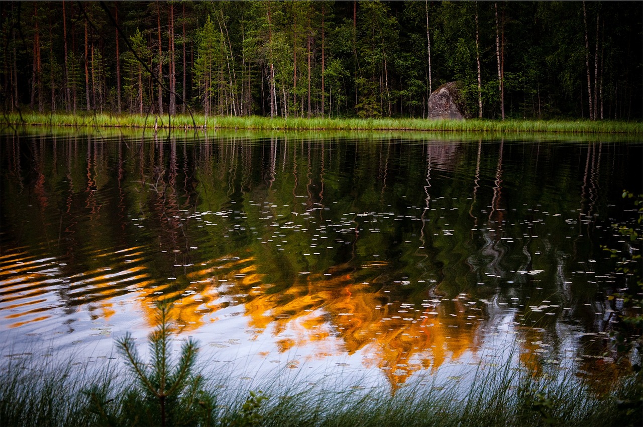 lake water reflection free photo