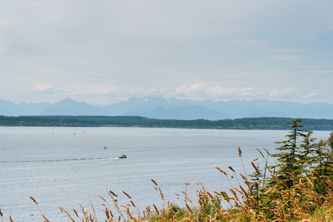 lake water boats free photo